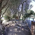 Вилла L'alivi, Prestige Avec Vue Panoramique Фигари