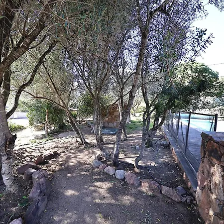 Villa L'alivi - 5 Avec Piscine Chauffee Figari (Corsica)